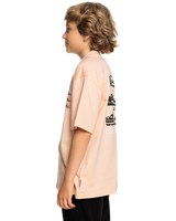 The Quiksilver Boys Boys Vertical Logos T-Shirt in Peach Parfait