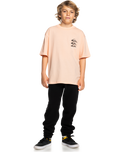 The Quiksilver Boys Boys Vertical Logos T-Shirt in Peach Parfait