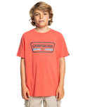 The Quiksilver Boys Boys Range Life T-Shirt in Spiced Coral