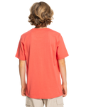 The Quiksilver Boys Boys Range Life T-Shirt in Spiced Coral