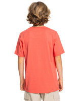 The Quiksilver Boys Boys Range Life T-Shirt in Spiced Coral