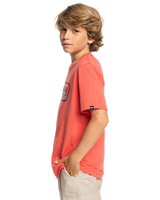 The Quiksilver Boys Boys Range Life T-Shirt in Spiced Coral