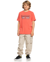 The Quiksilver Boys Boys Range Life T-Shirt in Spiced Coral