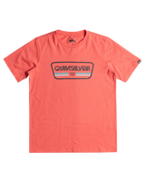 The Quiksilver Boys Boys Range Life T-Shirt in Spiced Coral