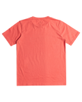 The Quiksilver Boys Boys Range Life T-Shirt in Spiced Coral