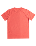 The Quiksilver Boys Boys Range Life T-Shirt in Spiced Coral