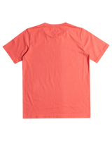 The Quiksilver Boys Boys Range Life T-Shirt in Spiced Coral