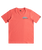 The Quiksilver Boys Boys Omni Wave T-Shirt in Spiced Coral