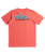 The Quiksilver Boys Boys Omni Wave T-Shirt in Spiced Coral