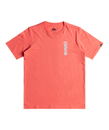 The Quiksilver Boys Boys Warped T-Shirt in Spiced Coral