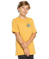 The Quiksilver Boys Boys Lots Of Rights T-Shirt in Fall Leaf