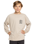 The Quiksilver Boys Boys Vintage Mix Long Sleeve T-Shirt in Plaza Taupe