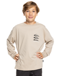 The Quiksilver Boys Boys Vintage Mix Long Sleeve T-Shirt in Plaza Taupe