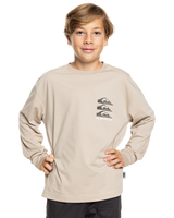 The Quiksilver Boys Boys Vintage Mix Long Sleeve T-Shirt in Plaza Taupe