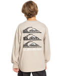 The Quiksilver Boys Boys Vintage Mix Long Sleeve T-Shirt in Plaza Taupe