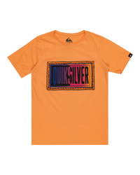 The Quiksilver Boys Boys Day Tripper T-Shirt in Tangerine