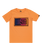The Quiksilver Boys Boys Day Tripper T-Shirt in Tangerine