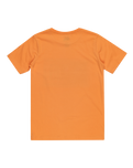 The Quiksilver Boys Boys Day Tripper T-Shirt in Tangerine