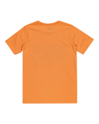 The Quiksilver Boys Boys Day Tripper T-Shirt in Tangerine