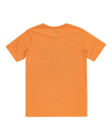 The Quiksilver Boys Boys Day Tripper T-Shirt in Tangerine