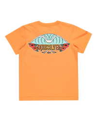 The Quiksilver Boys Boys Tropical Fade Boy T-Shirt in Tangerine