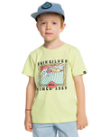 The Quiksilver Boys Boys Retro Skull T-Shirt in Shadow Lime