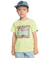 The Quiksilver Boys Boys Retro Skull T-Shirt in Shadow Lime