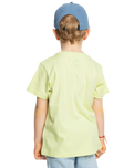 The Quiksilver Boys Boys Retro Skull T-Shirt in Shadow Lime