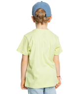 The Quiksilver Boys Boys Retro Skull T-Shirt in Shadow Lime