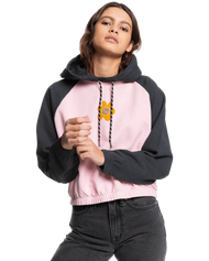 The Quiksilver Womens Collection Womens Pray For Wave Hoodie in Bleached Mauve