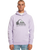 The Quiksilver Mens Big Logo Hoodie in Purple Rose