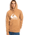 The Quiksilver Mens Big Logo Hoodie in Chipmunk