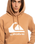 The Quiksilver Mens Big Logo Hoodie in Chipmunk