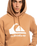 The Quiksilver Mens Big Logo Hoodie in Chipmunk