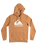 The Quiksilver Mens Big Logo Hoodie in Chipmunk