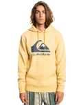 The Quiksilver Mens Big Logo Hoodie in Rattan