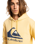 The Quiksilver Mens Big Logo Hoodie in Rattan