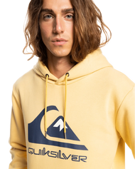 The Quiksilver Mens Big Logo Hoodie in Rattan