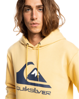 The Quiksilver Mens Big Logo Hoodie in Rattan