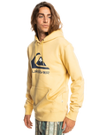 The Quiksilver Mens Big Logo Hoodie in Rattan