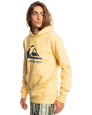 The Quiksilver Mens Big Logo Hoodie in Rattan