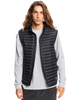 The Quiksilver Mens Scaly Gilet in Black