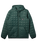 The Quiksilver Mens Check Mate Insulator Jacket in Forest