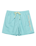 The Quiksilver Mens Behind Waves Volley Shorts in Marine Blue