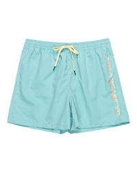 The Quiksilver Mens Behind Waves Volley Shorts in Marine Blue