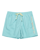 The Quiksilver Mens Behind Waves Volley Shorts in Marine Blue