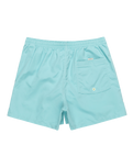 The Quiksilver Mens Behind Waves Volley Shorts in Marine Blue