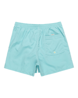 The Quiksilver Mens Behind Waves Volley Shorts in Marine Blue