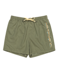 The Quiksilver Mens Behind Waves Volley Shorts in Four Leaf Clover