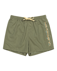 The Quiksilver Mens Behind Waves Volley Shorts in Four Leaf Clover